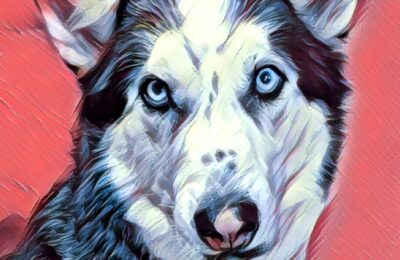 Congratulations Vegas!