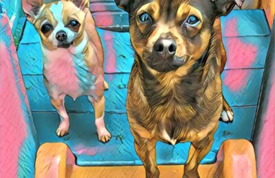 Congratulations Bobby & Blue!