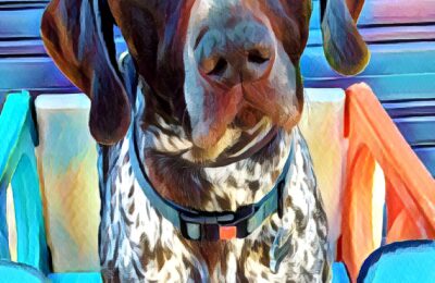 Congratulations Freddie!