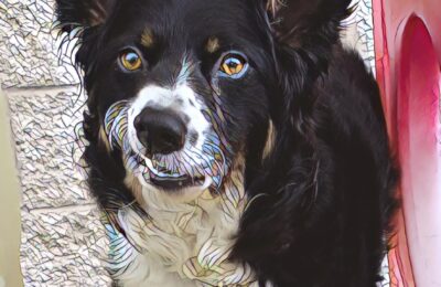 Congratulations Ciara!