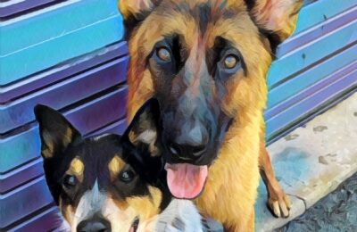 Congratulations Taz & Daq!