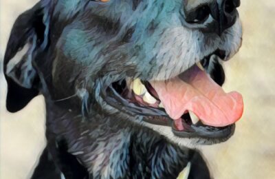 Congratulations Grace!