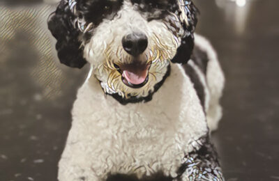 Congratulations Ferris!