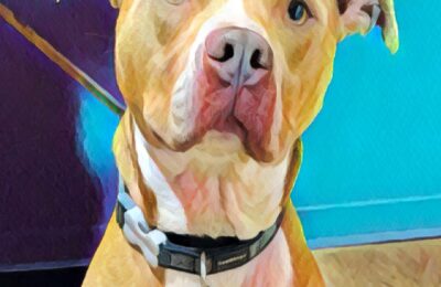 Congratulations Javy!