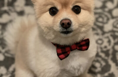 Congratulations Bruno!