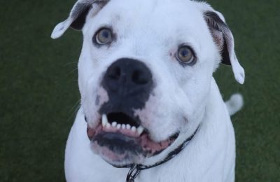 Congratulations Jake!