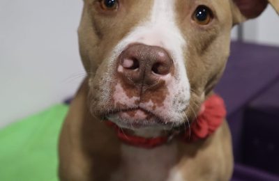 Congratulations, Daisy!