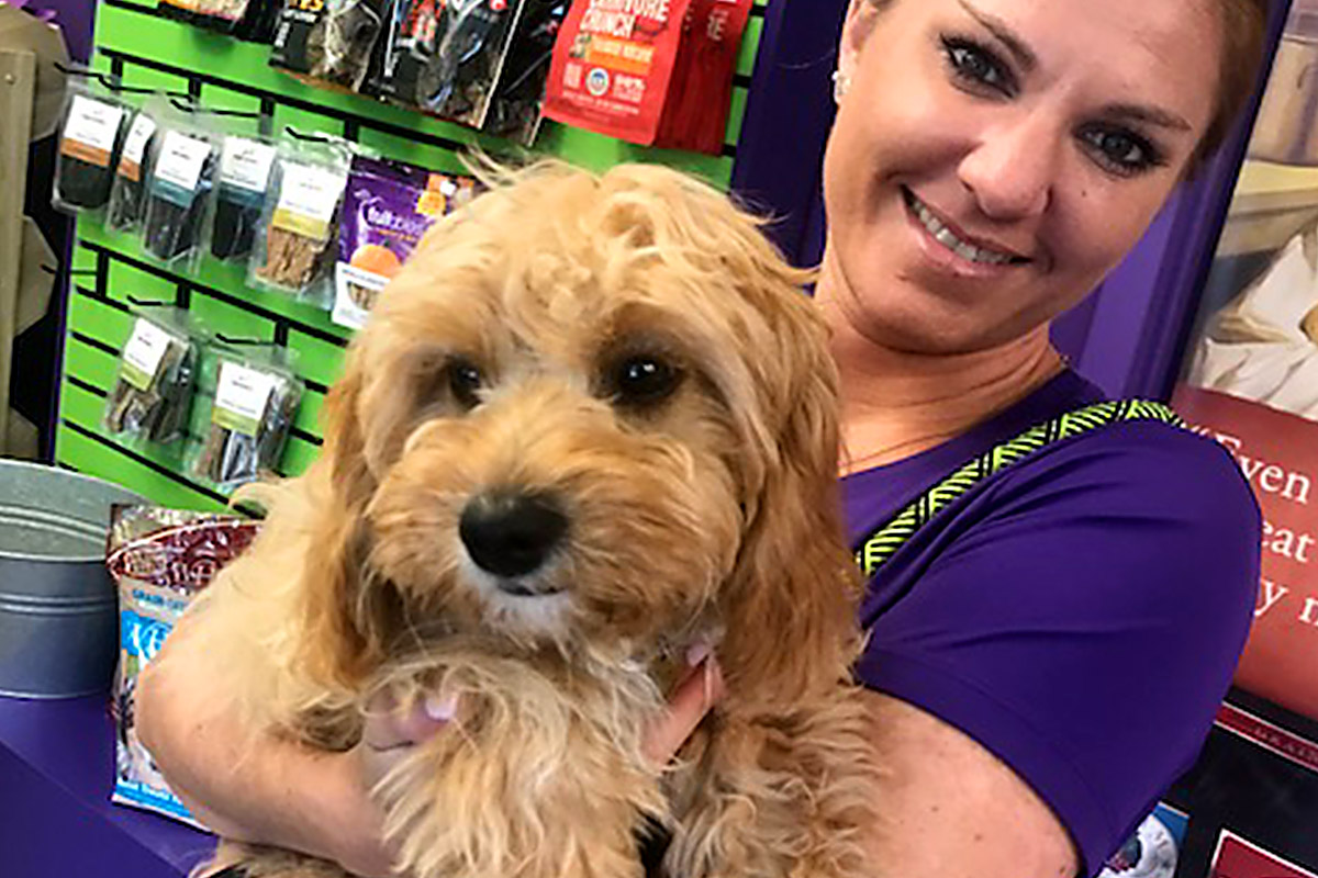Central bark Jacksonville - brown dog posing for camera with our instructor