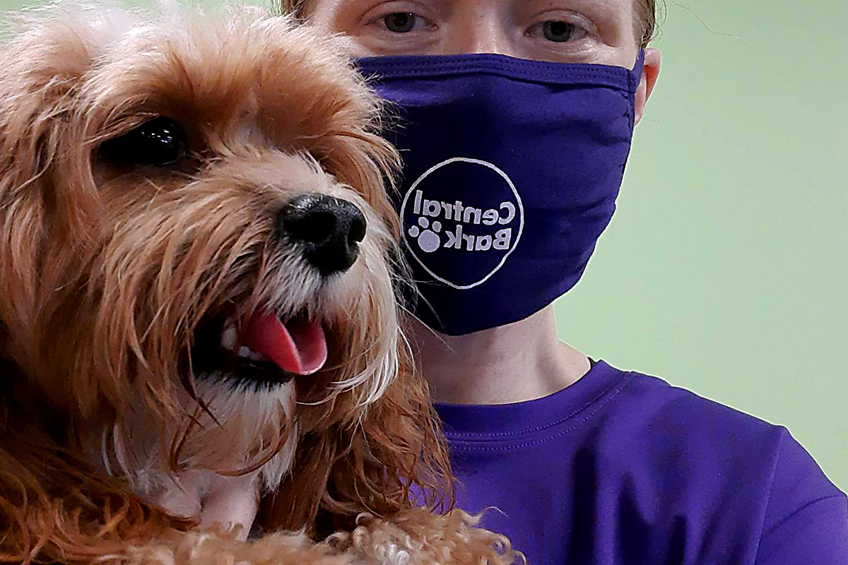 Central bark Jacksonville employee with one dog