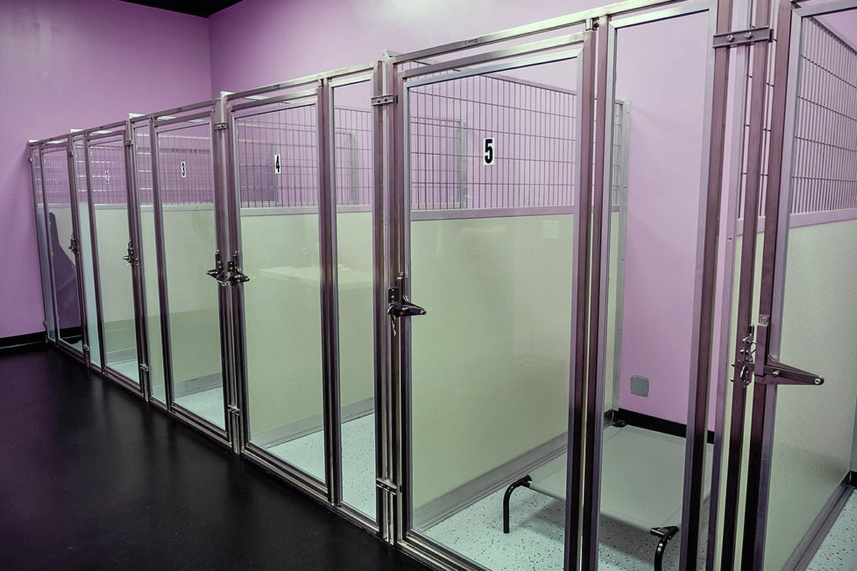 Central Bark Rochester dog boarding center