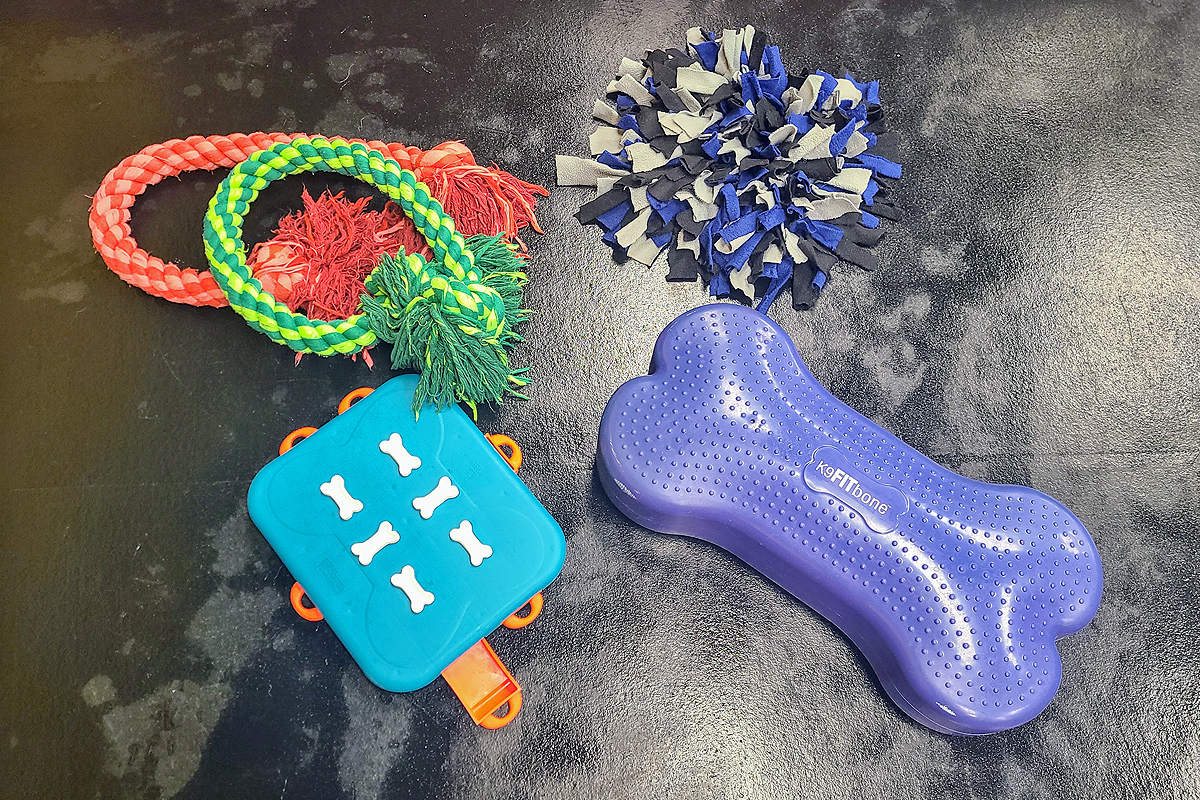 dog toys