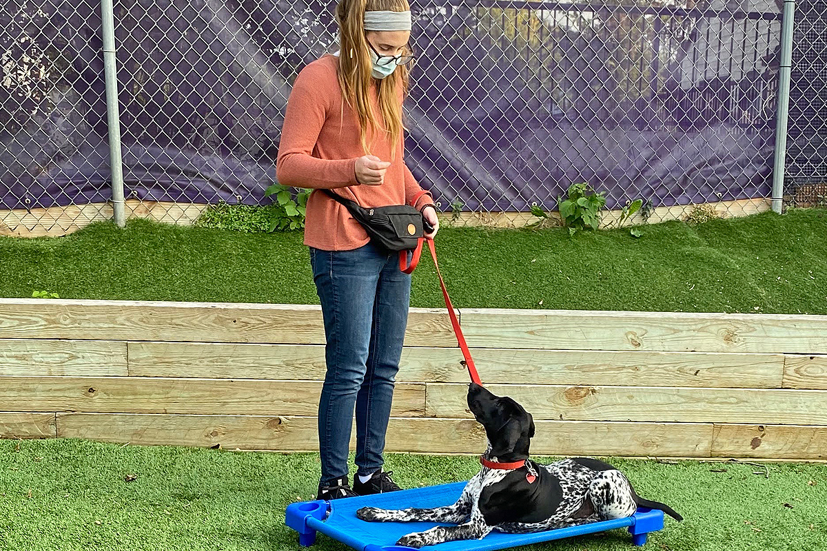 trainer with doggy